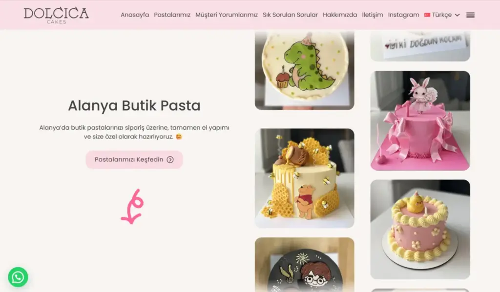 Dolcica web sitesi ekran görüntüsü